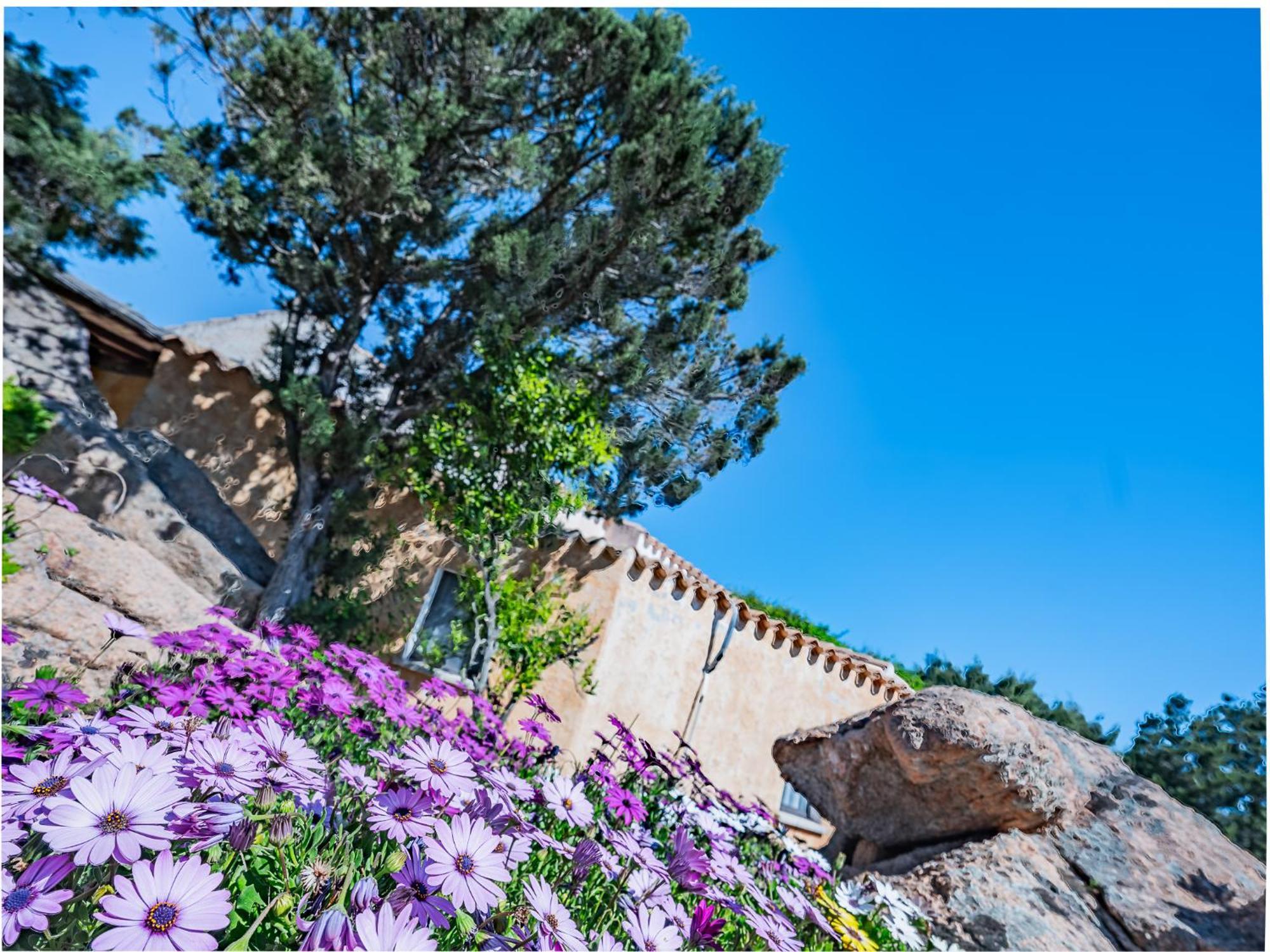 Sardinia Family Villas - Villa Nina With Private Pool Abbiadori Exteriér fotografie